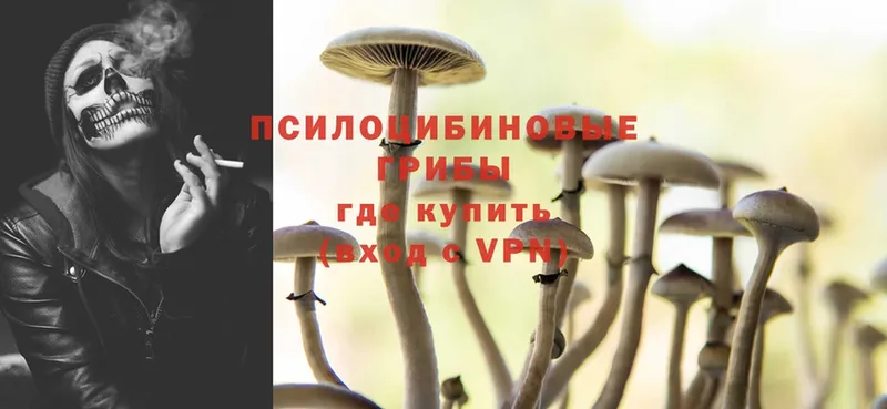 Псилоцибиновые грибы Psilocybine cubensis  закладка  кракен онион  Фёдоровский 